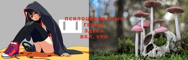 spice Бородино