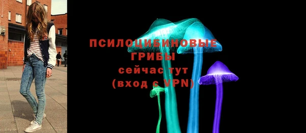 spice Бородино