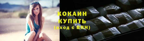 spice Бородино