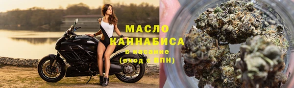 spice Бородино